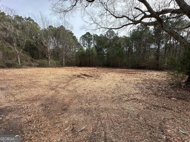 Land for sale in Franklin, Georgia