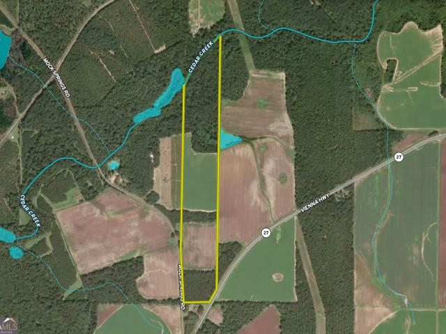 Land for sale in Hawkinsville, Georgia
