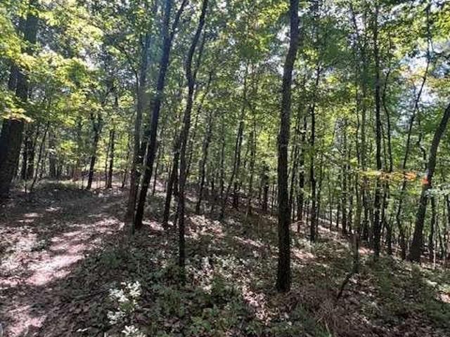 Land for sale in Rockmart, Georgia