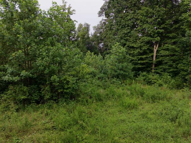 Land for sale in Tennessee