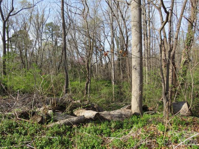 Land for sale in Rutherford, North Carolina