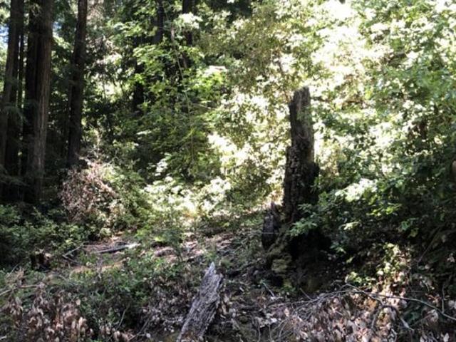 Land for sale in Scotts Valley, California