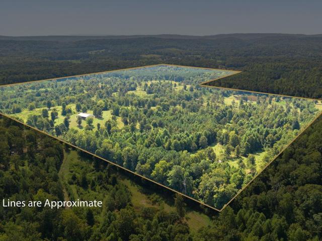 Land for sale in Odenville, St. Clair County