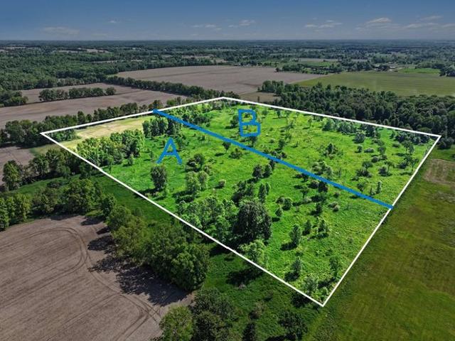 Land for sale in Ionia, Michigan