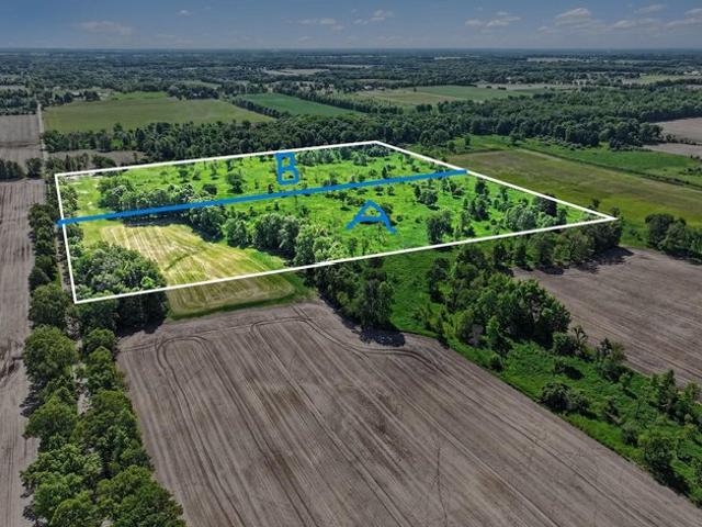 Land for sale in Ionia, Michigan