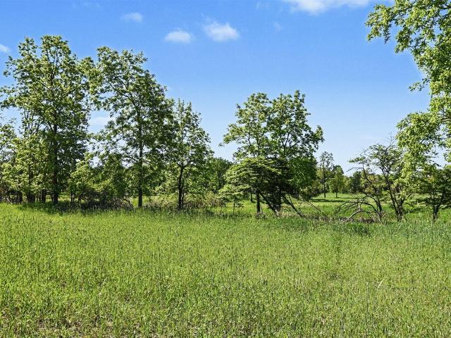 Land for sale in Ionia, Michigan