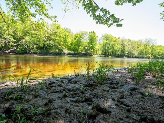 Land for sale in Michigan
