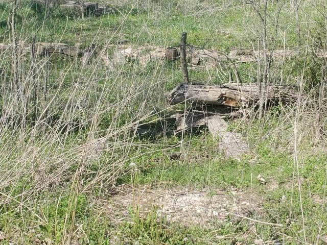 Land for sale in Kansas