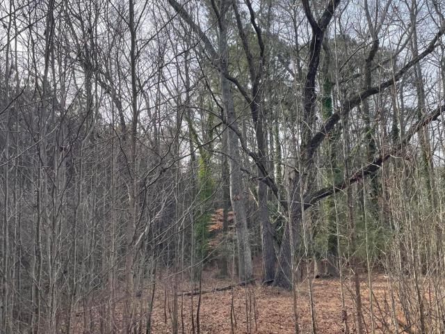 Land for sale in Winfall, North Carolina