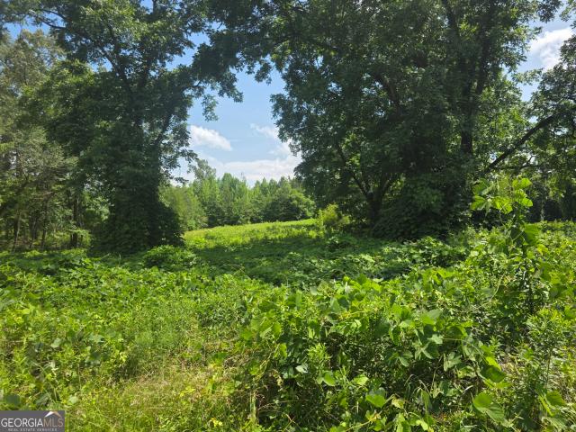 Land for sale in Haralson, Georgia
