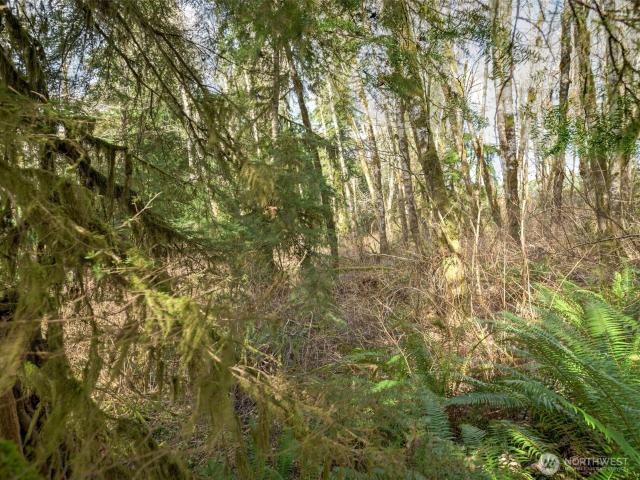 Land for sale in Belfair, Washington
