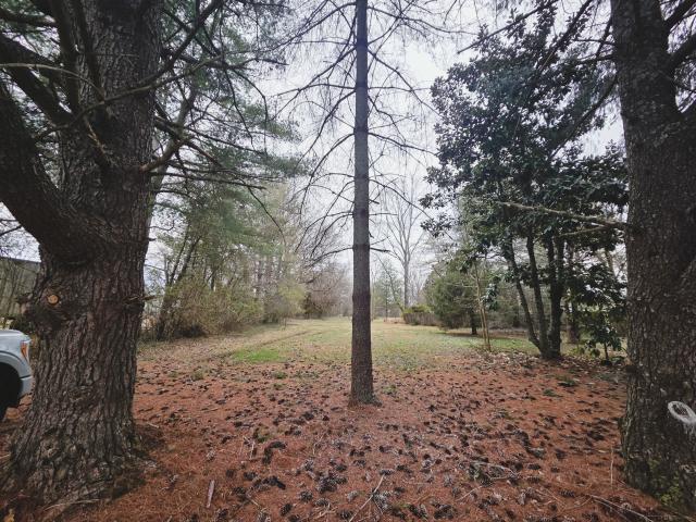 Land for sale in Tennessee