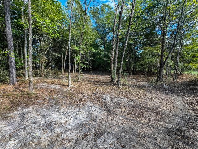 Land for sale in Gladewater, Upshur County