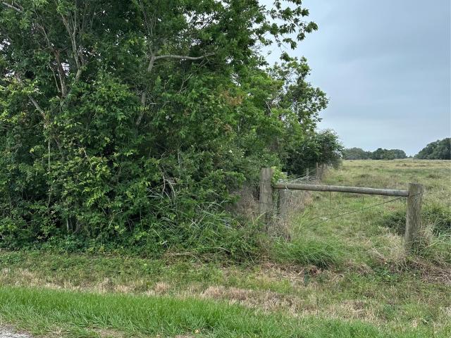 Land for sale in Blessing, Texas