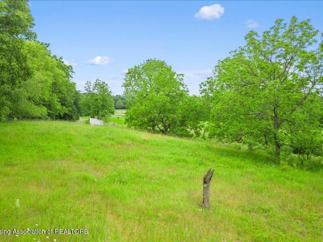 Land for sale in Eaton Rapids