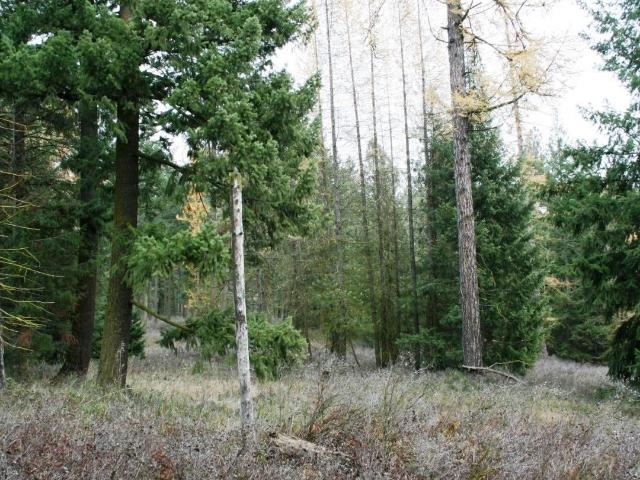 Land for sale in Deer Park, Washington