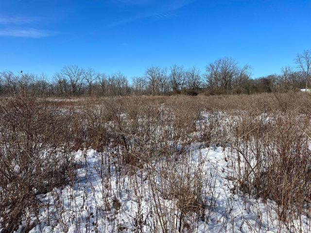 Land for sale in Dryden, New York