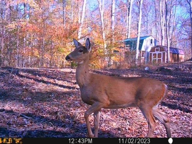 House for sale in English, Indiana