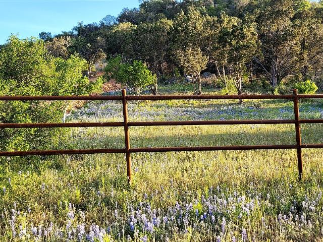 Land for sale in Texas