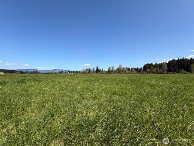 Land for sale in Elma, Mason County