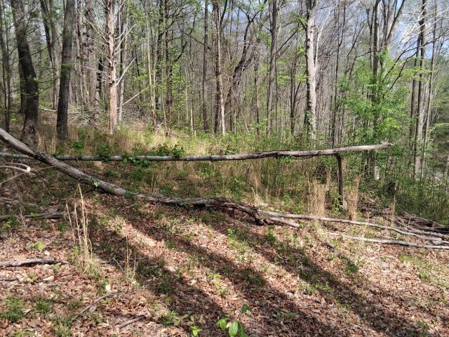 Land for sale in Westmoreland, Middle Tennessee