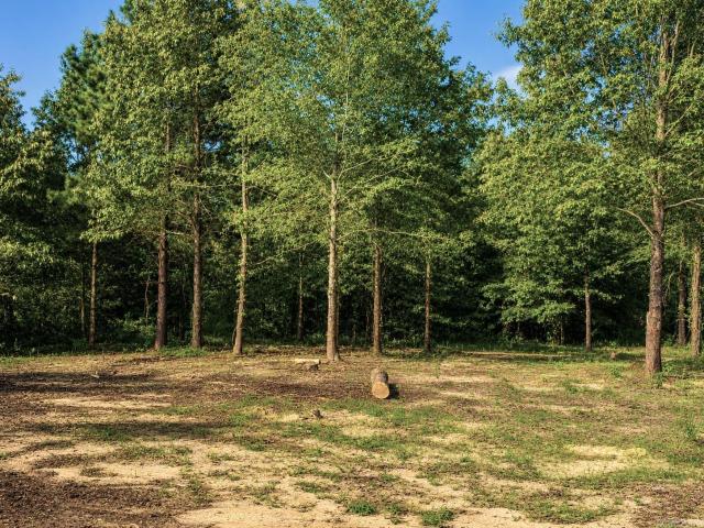 Land for sale in Ark