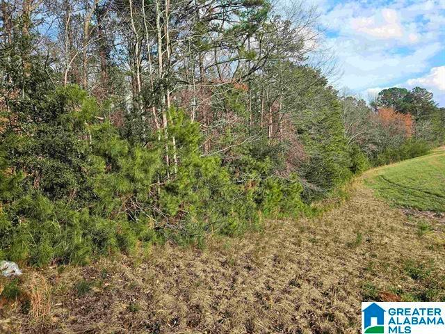 Land for sale in Sylacauga, Talladega County