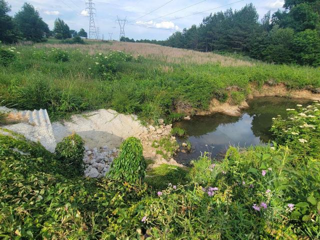 Land for sale in Cherokee, Alabama