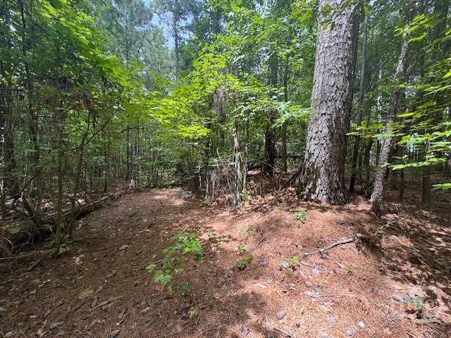 Land for sale in Hull, Georgia