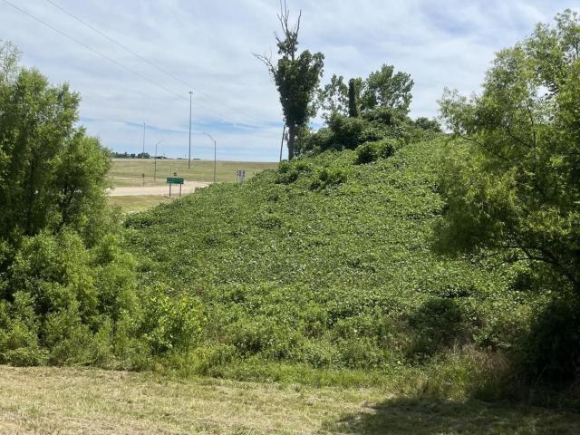 Land for sale in Blue Springs, Mississippi