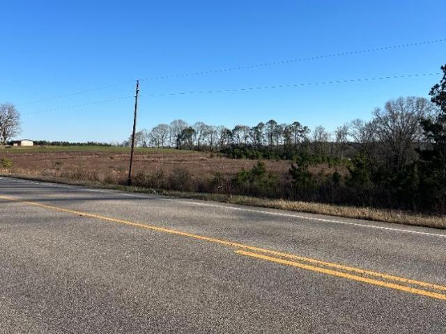 Land for sale in Evergreen, Alabama