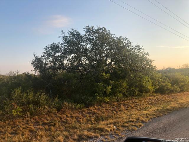 Land for sale in Bee, Texas