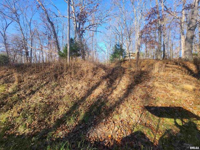 Property for sale in Perry, Illinois