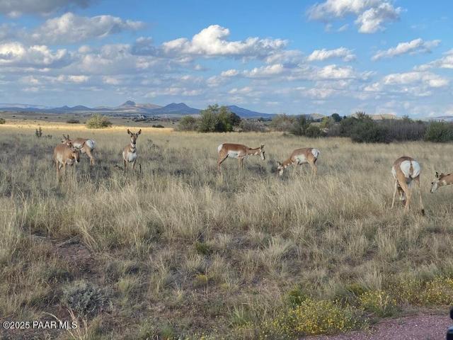 Land for sale in Prescott, Arizona