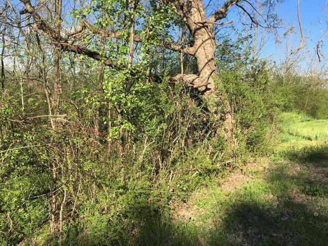 Land for sale in Tennessee