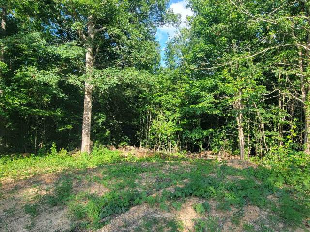 Land for sale in Tuscumbia, Alabama
