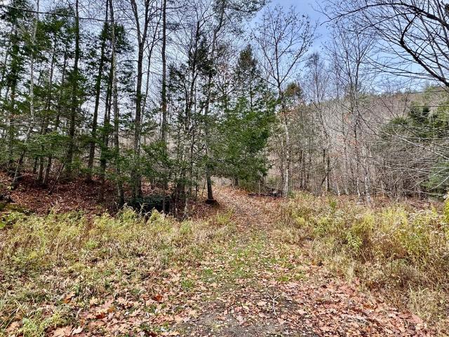 Property for sale in Charlemont, Massachusetts