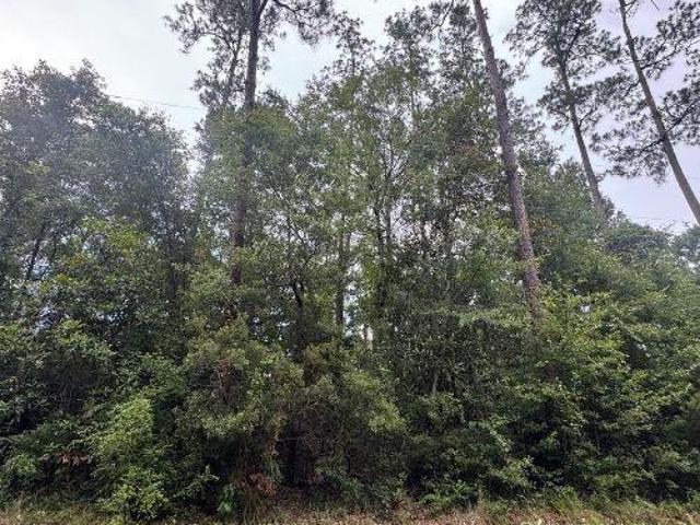 Land for sale in Lacombe, Louisiana