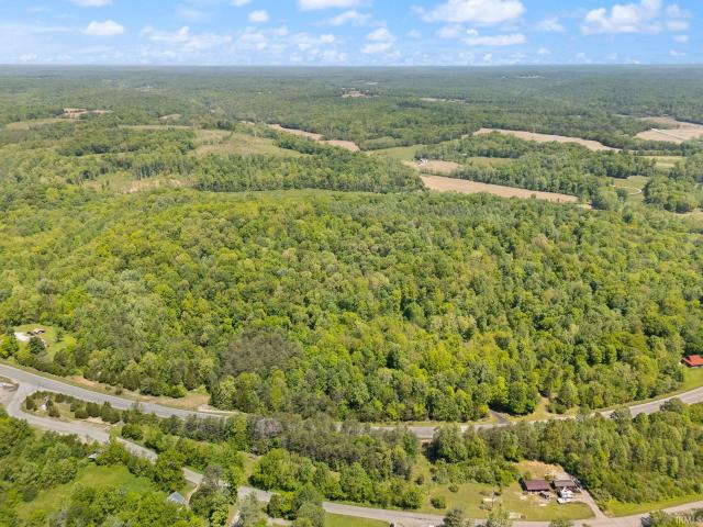 Land for sale in English, Indiana