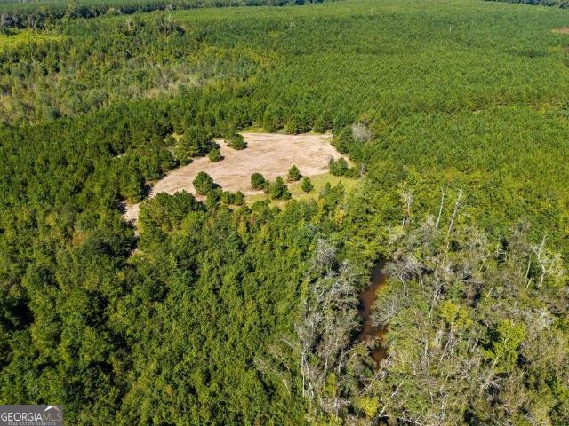 Land for sale in Ideal, Macon County