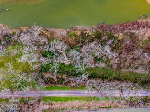 Land for sale in Polk, Texas