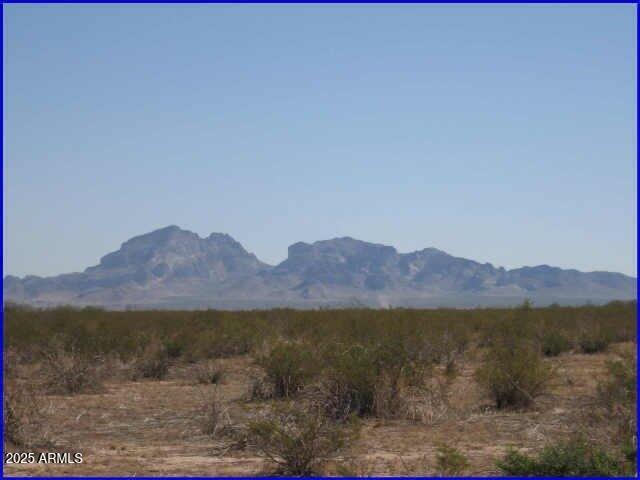 Land for sale in Tonopah