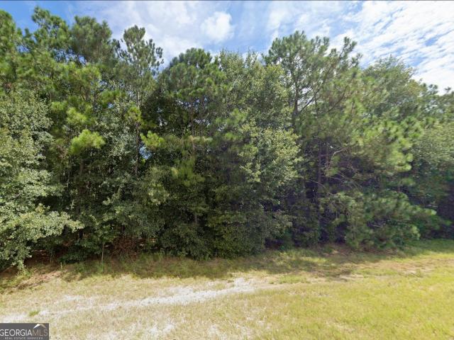 Land for sale in Ty Ty, Georgia