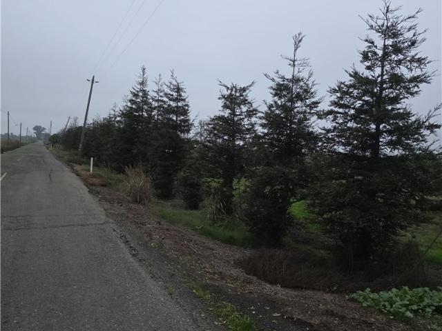 Land for sale in Walnut Grove, California