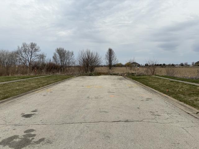 Land for sale in Manhattan, Illinois