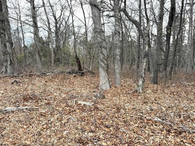 Land for sale in Ewan, New Jersey
