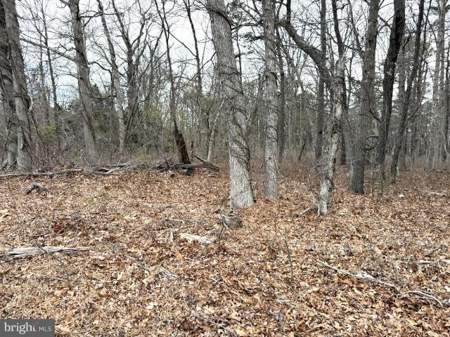 Land for sale in Ewan, New Jersey