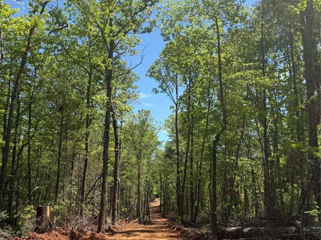 Land for sale in Marion, North Carolina