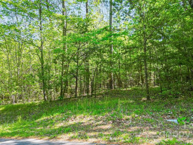 Land for sale in Rutherford, North Carolina
