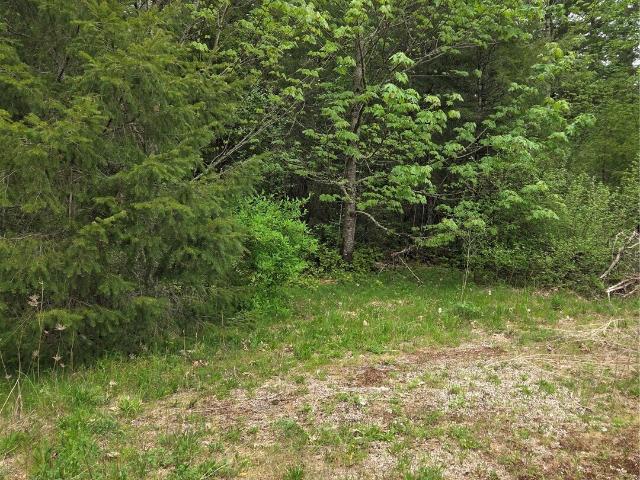 Land for sale in Sumas, Washington